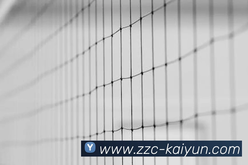 开云平台生态图